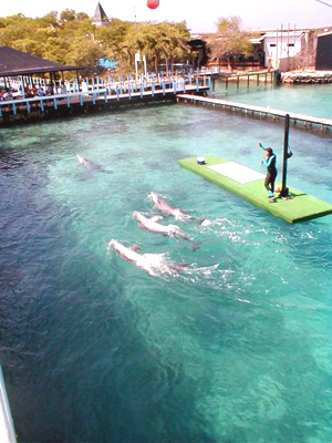 Islas del Rosario - Cartagena, Colombia